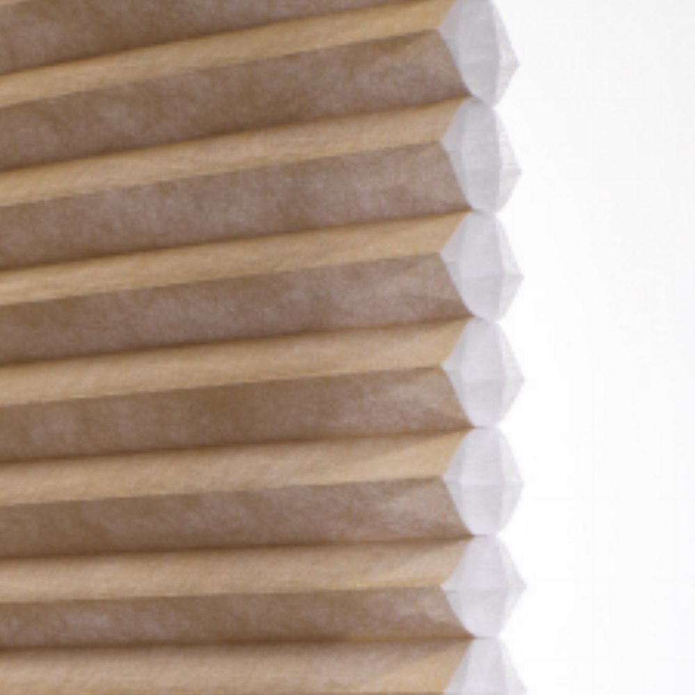 Sena Light Filtering Cellular Shades Corded/Cordless Cell with Cell
