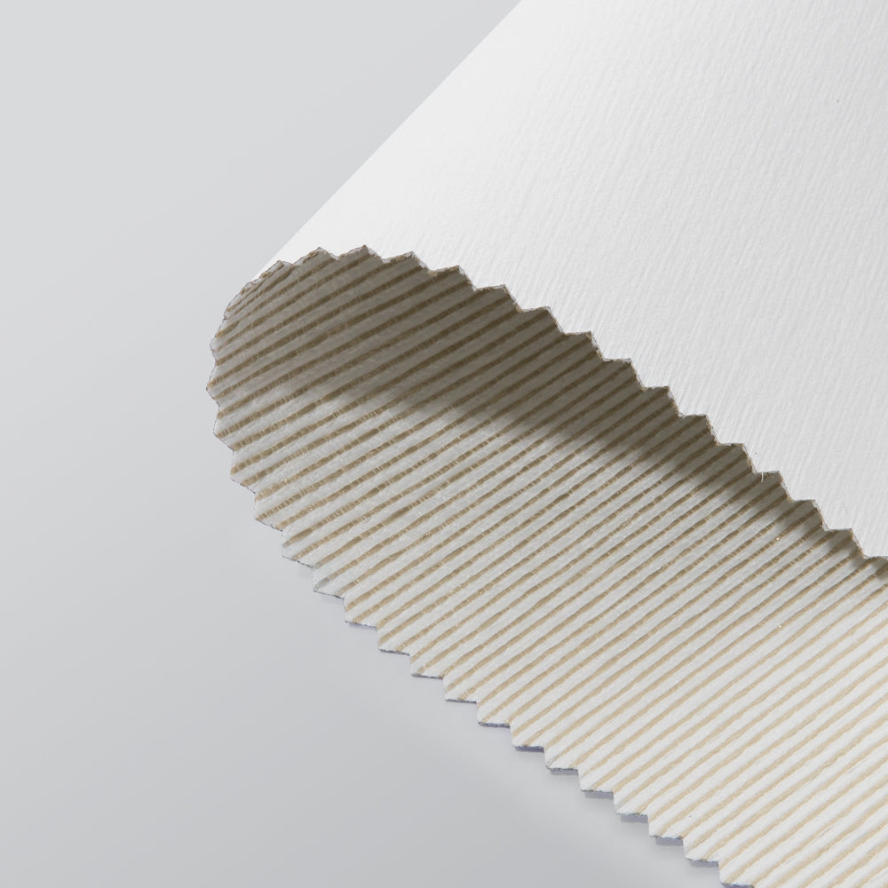 Luma Motorized Blackout Roller Shades