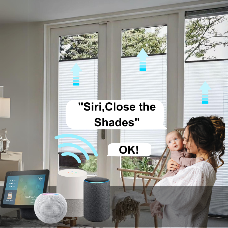 Noa Motorized Blackout Cellular Shades