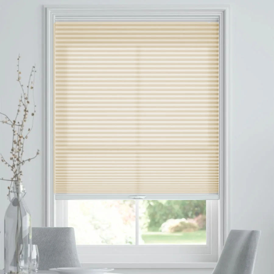 Gale Motorized Light Filtering Cellular Shades