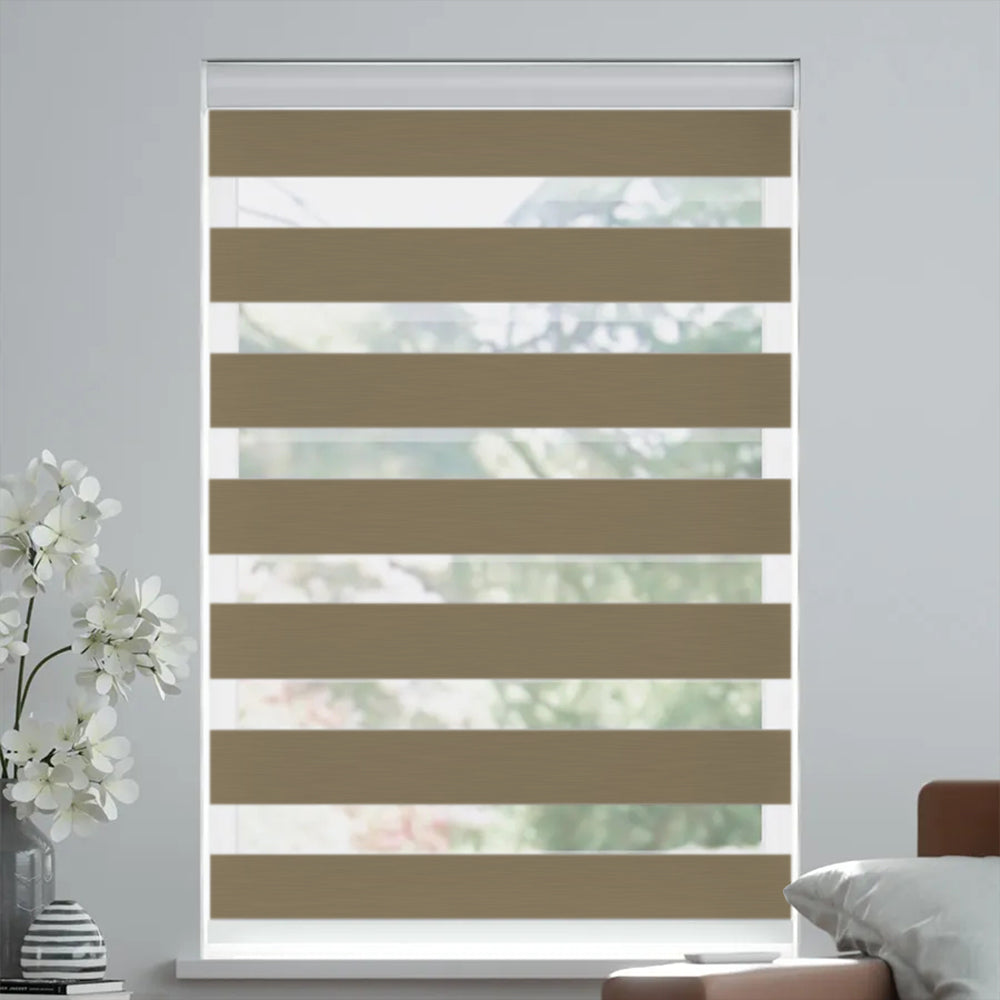 Solara Filtering Dual Shade Blackout Zebra Shades