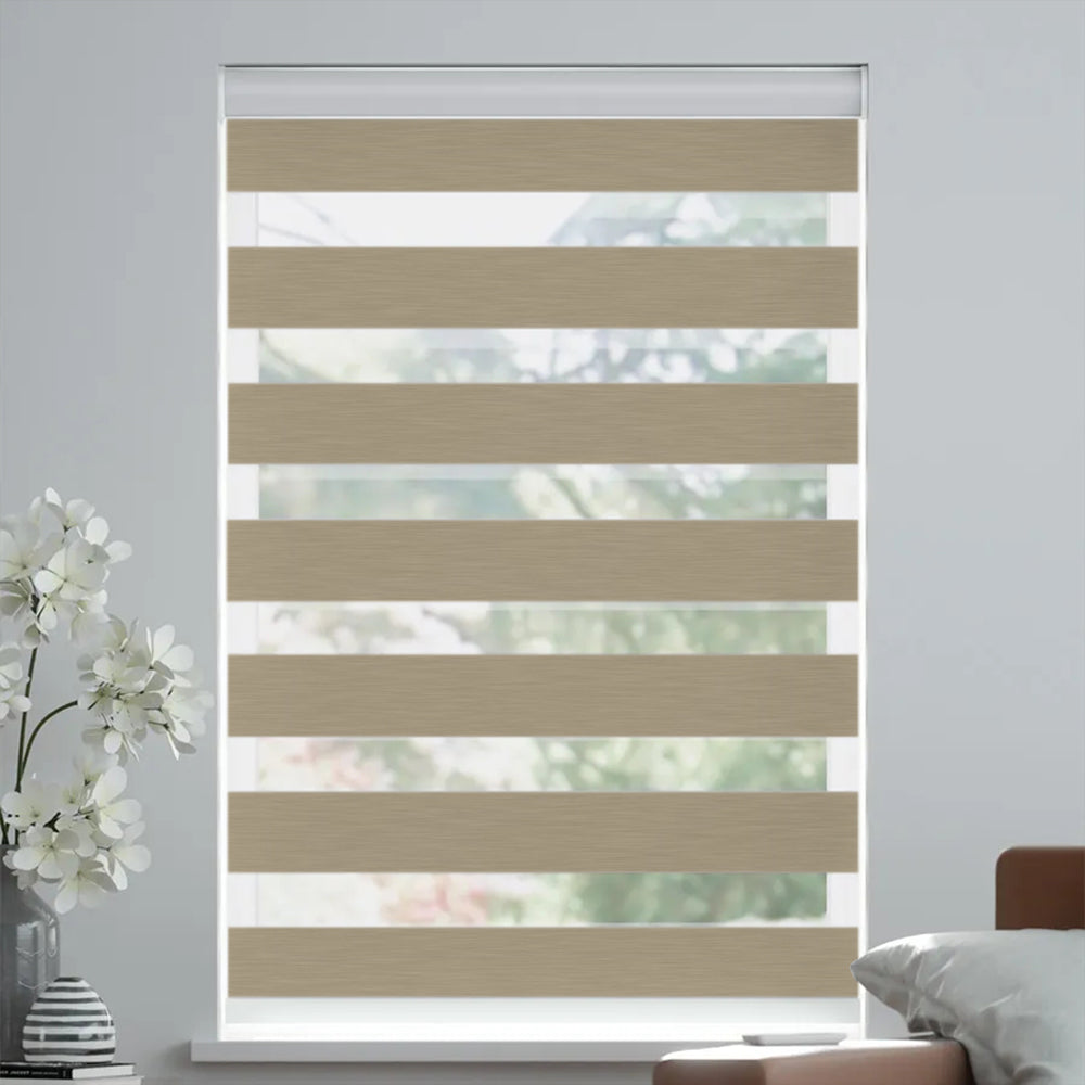 Solara Filtering Dual Shade Blackout Zebra Shades