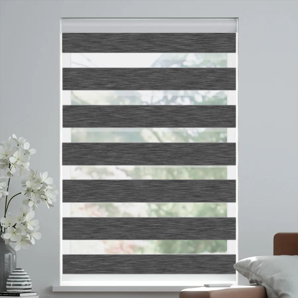 Solara Filtering Dual Shade Blackout Zebra Shades